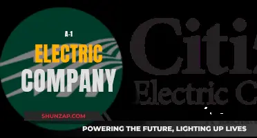 Electricians You Can Trust: A-1 Electric Company