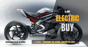 The Ultimate Electric A-Bike Buying Guide