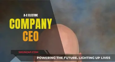 The Visionary Leader: CEO of A-C Electric Company