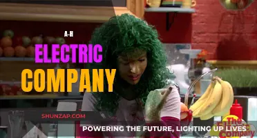 Electric Company A-H: Powering Your World, Lighting Your Life
