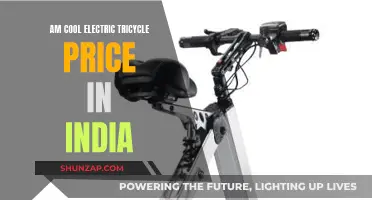 Cool Electric Tricycles: India's Affordable, Eco-Friendly Option