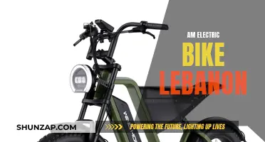 Electric Bike Revolution: Lebanon's Green Future