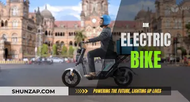 Electric Bike Revolution: The Future of Urban Commuting