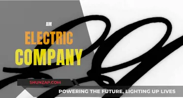 Electric Company: Powering Your World, Illuminating Lives
