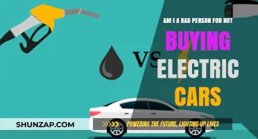 Am I a Bad Person for Not Buying Electric Cars?