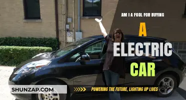 Electric Car Regrets: Am I Foolish for Going Green?