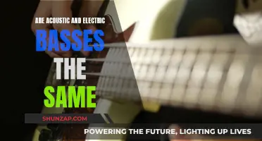 Basics of Bass: Electric vs Acoustic