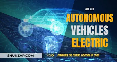 Autonomous Vehicles: The Electric Revolution