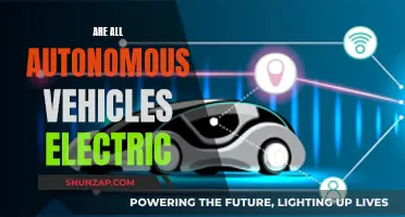 Autonomous Vehicles: Electric or Not?