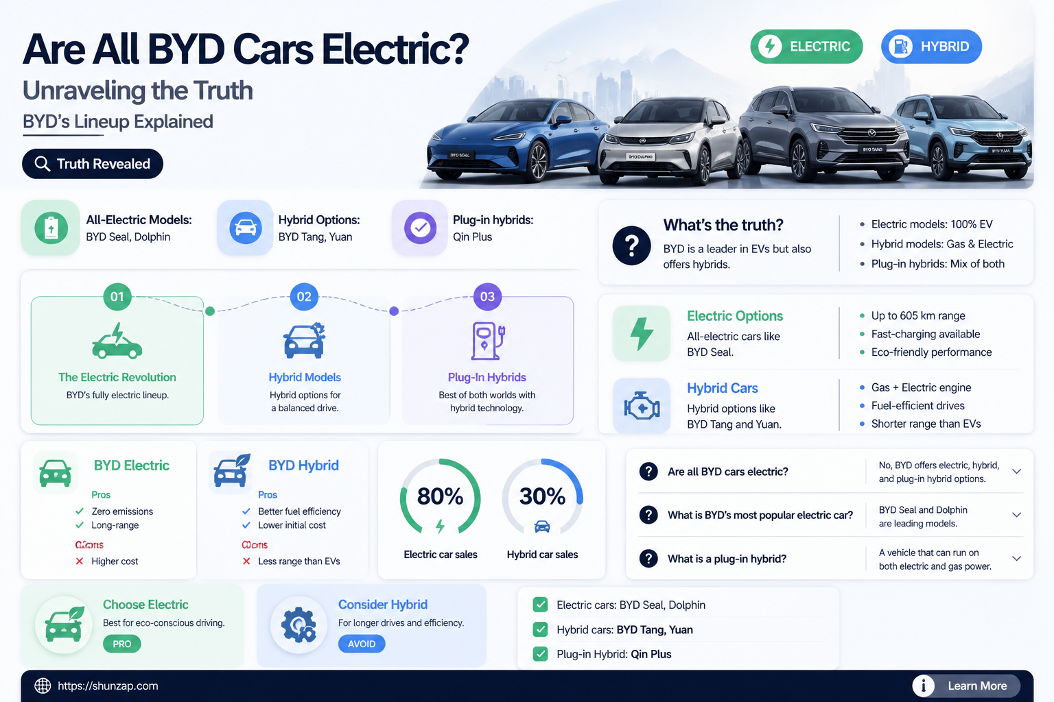 are all byd cars electric