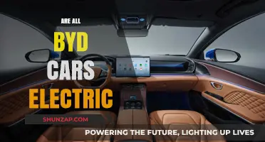 Are All BYD Cars Electric? Unraveling the Truth About BYD's Lineup
