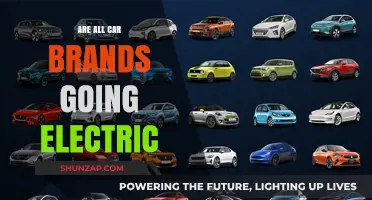 The Electric Shift: Are All Car Brands Going Electric?