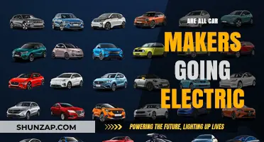 Are All Car Makers Going Electric? The Future of Auto Industry