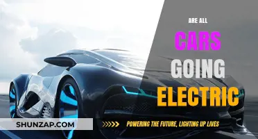 The Future of Cars: Are All Vehicles Going Electric?