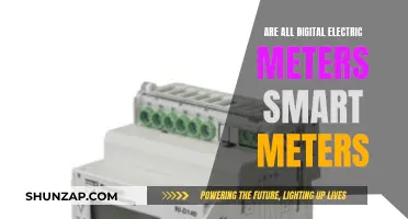 Digital Electric Meters: All Smart or Not?