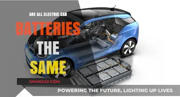 Are All Electric Car Batteries the Same? Exploring Types and Differences
