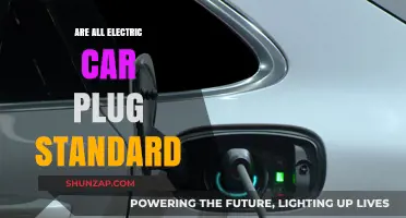 Are All Electric Car Plugs Standard? Exploring Global Charging Compatibility