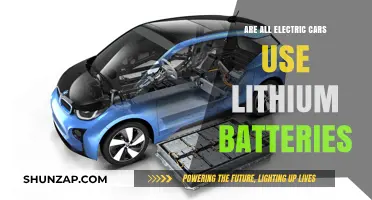 Do All Electric Cars Rely on Lithium Batteries?
