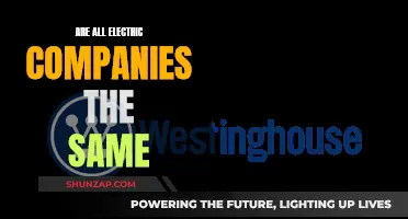 Electric Companies: Are They All Created Equal?