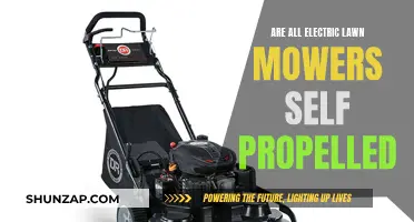 Electric Lawn Mowers: Self-Propelled or Not?
