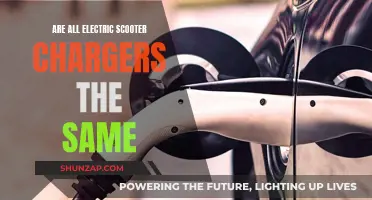 Electric Scooter Chargers: Universal or Unique?