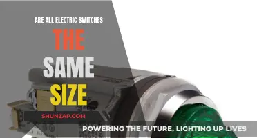Electric Switches: Are They All Standardized in Size?