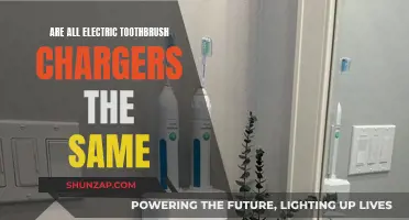 Electric Toothbrush Chargers: Are They Interchangeable?