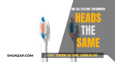 Electric Toothbrush Heads: Are They Interchangeable?