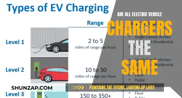 Electric Vehicle Chargers: One Size Fits All?