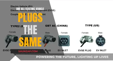 Unraveling the Mystery: Are All EV Plugs Universal?