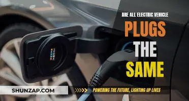Electric Vehicle Plug Compatibility: A Universal Standard?