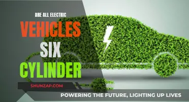 Beyond the Six Cylinders: Exploring Electric Vehicle Diversity