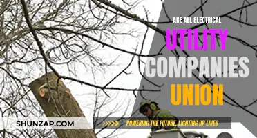 Electrical Utility Companies: Unionized or Not?