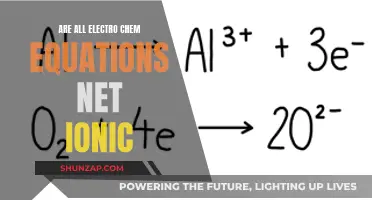 Electro Chem Equations: Net Ionic or Not?