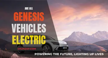Genesis Vehicles: Electric or Not?
