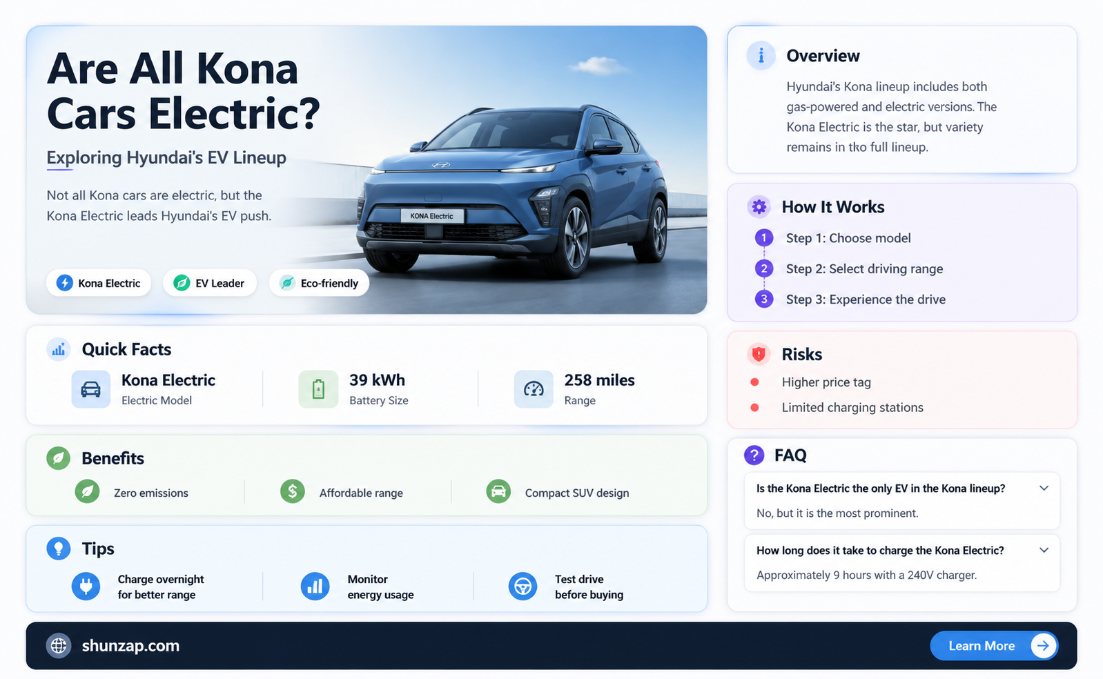 are all kona cars electric