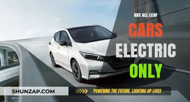 Are All Leaf Cars Electric? Unraveling Nissan's Eco-Friendly Lineup