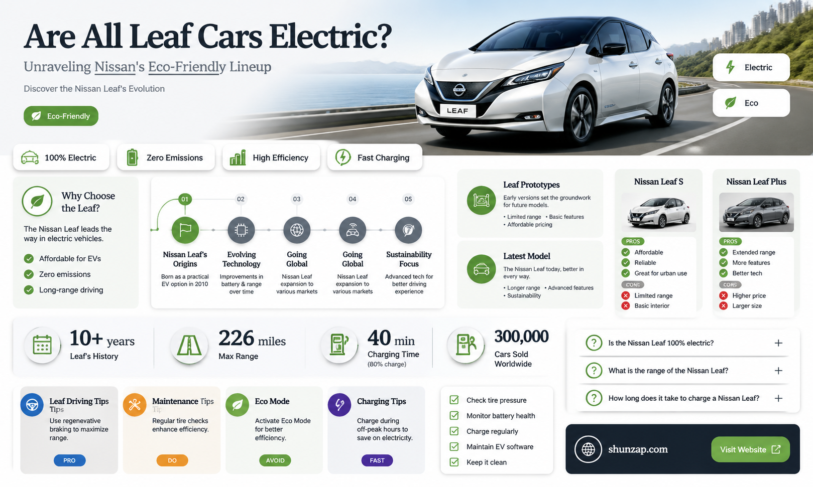 are all leaf cars electric only