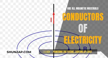 Magnetic Materials: Electric Conductors or Not?