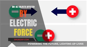 How Electric Force Affects Objects Around Us