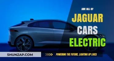 Are All Jaguar Cars Electric? Exploring the Brand's Electrification Journey