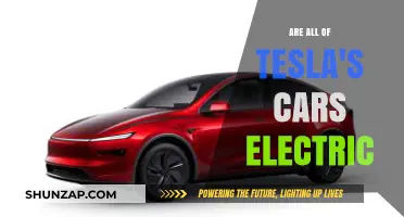 Are All Tesla Cars Electric? Unraveling the Truth Behind the Brand