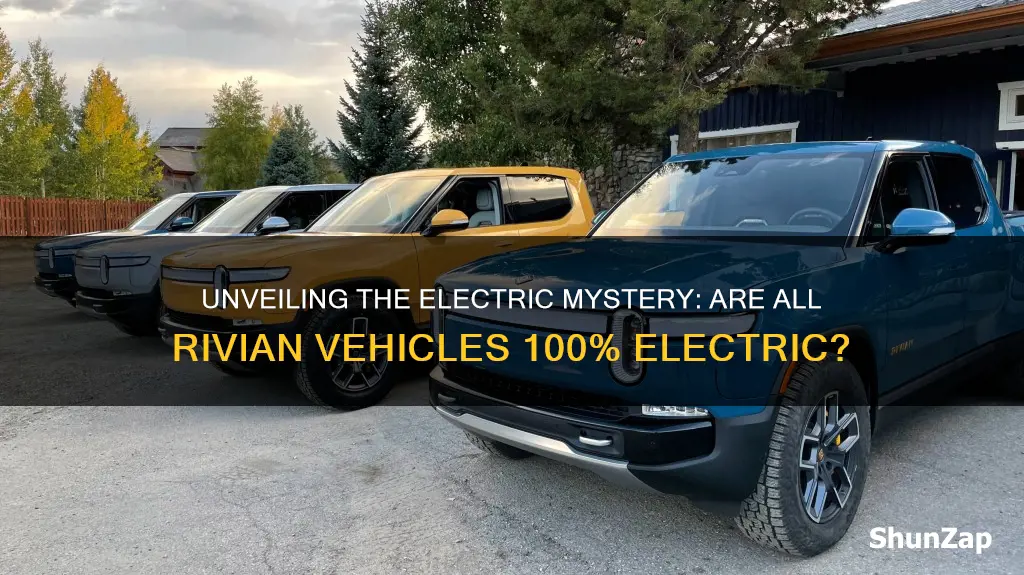 are all rivian vehicles electric