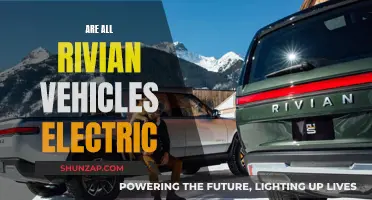 The Future of Rivian: Electric Revolution?