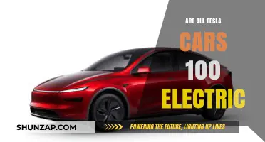 Are All Tesla Cars Fully Electric? Unraveling the Truth
