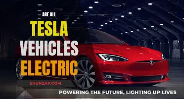 The Electric Revolution: Are All Teslas Electric Vehicles?