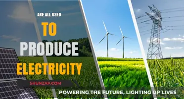 Exploring Diverse Energy Sources: How Are They All Used to Produce Electricity?