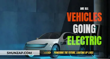 Electric Vehicles: The Future of Transportation?