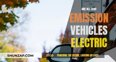 The Future of Driving: Electric or Not?