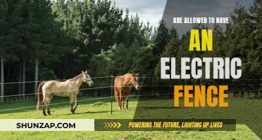 Electric Fences: Are They Legal?
